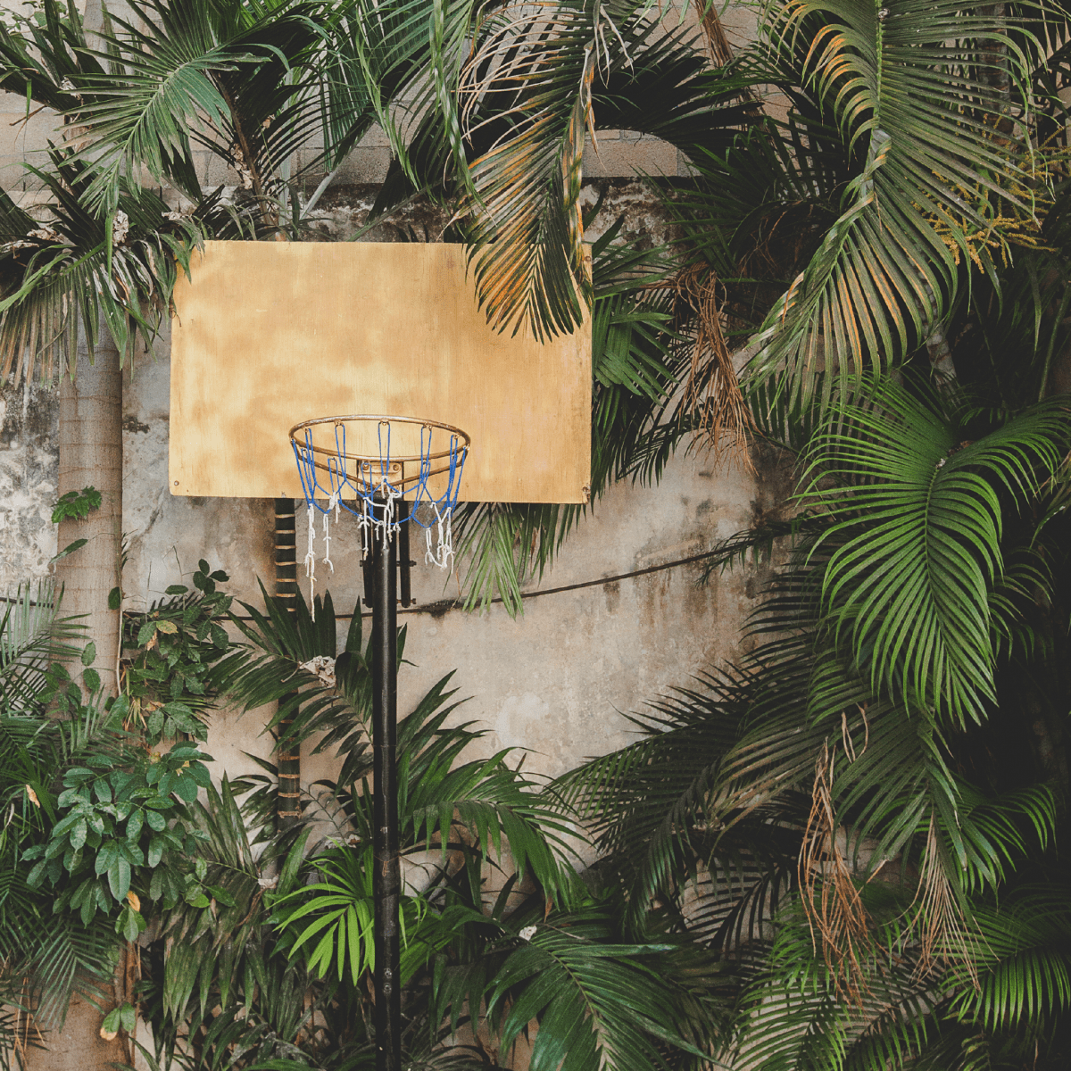 Basketball - Jimmy Kilgallen - Abhainn Studio