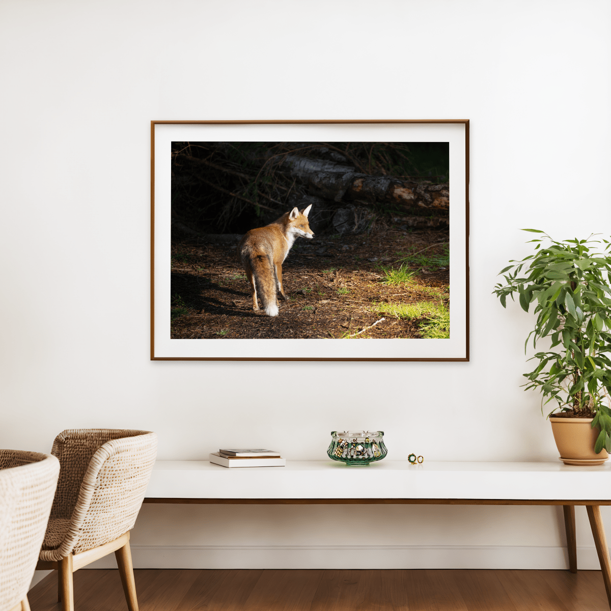 Fox - Gavin McGoldrick - Abhainn Studio