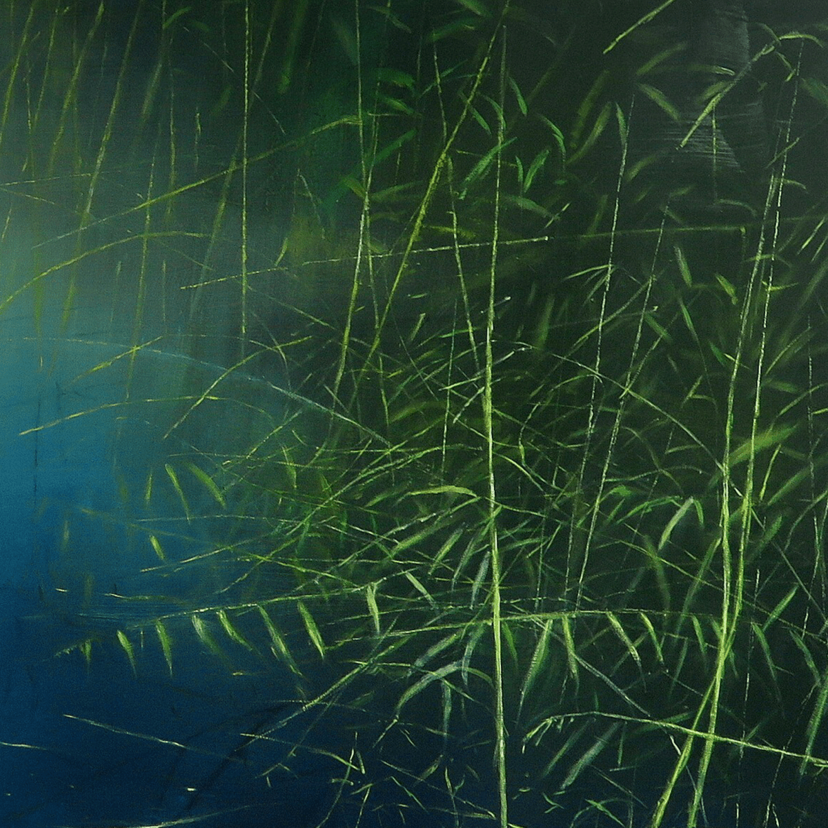 Lakeside Dreaming - Daniel Chester - Abhainn Studio