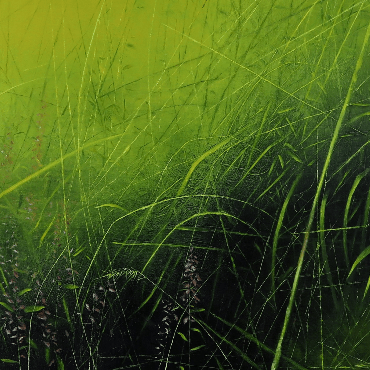 Lavender Hill - Daniel Chester - Abhainn Studio