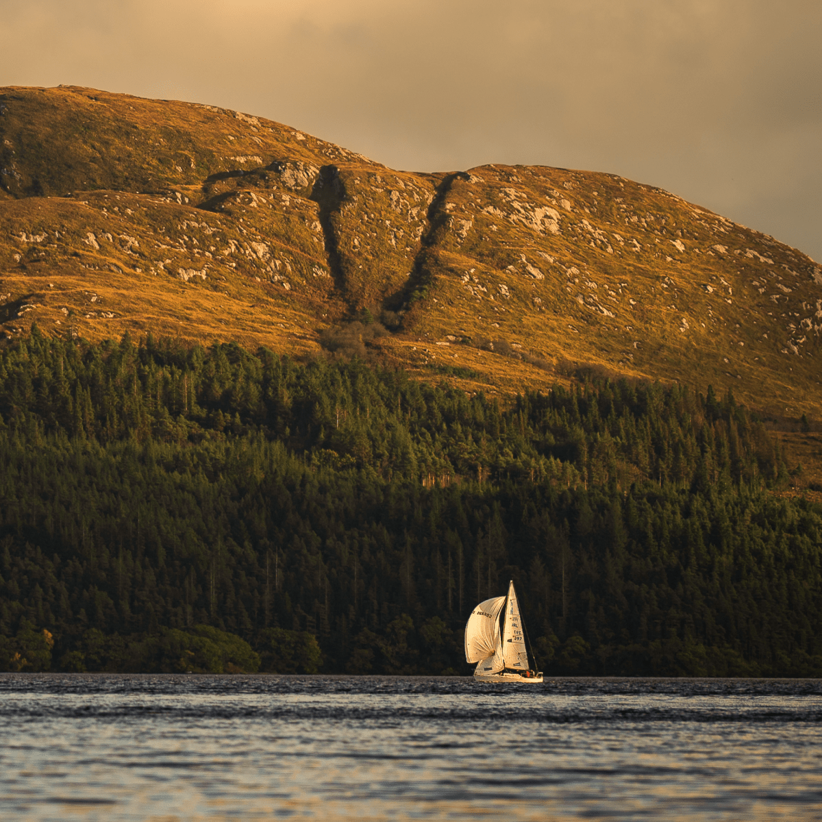 Lough Gill - Gavin McGoldrick - Abhainn Studio