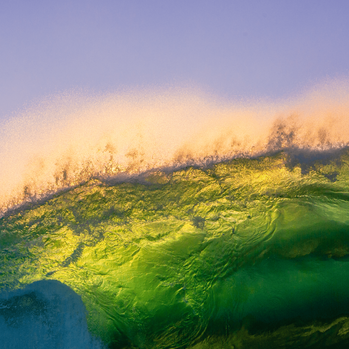 Morning Wave - Megan Gayda - Abhainn Studio