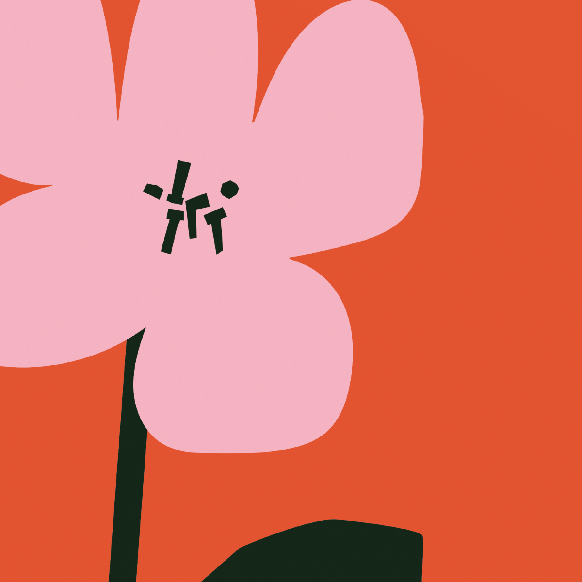 Pink Flower - Ordinary Days - Abhainn Studio