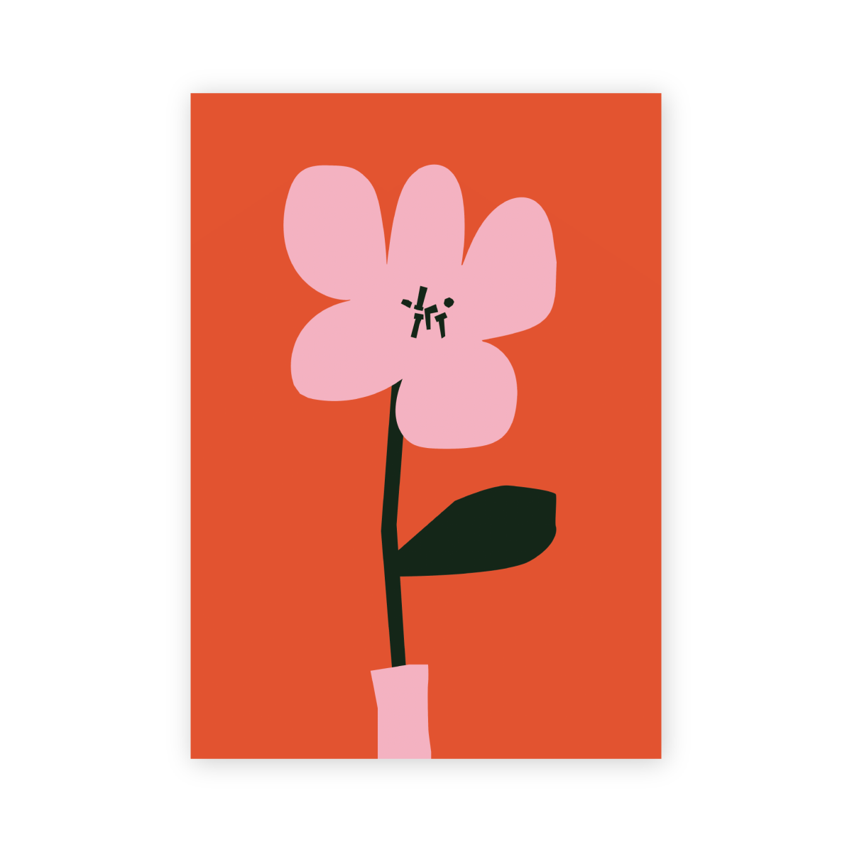 Pink Flower - Ordinary Days - Abhainn Studio
