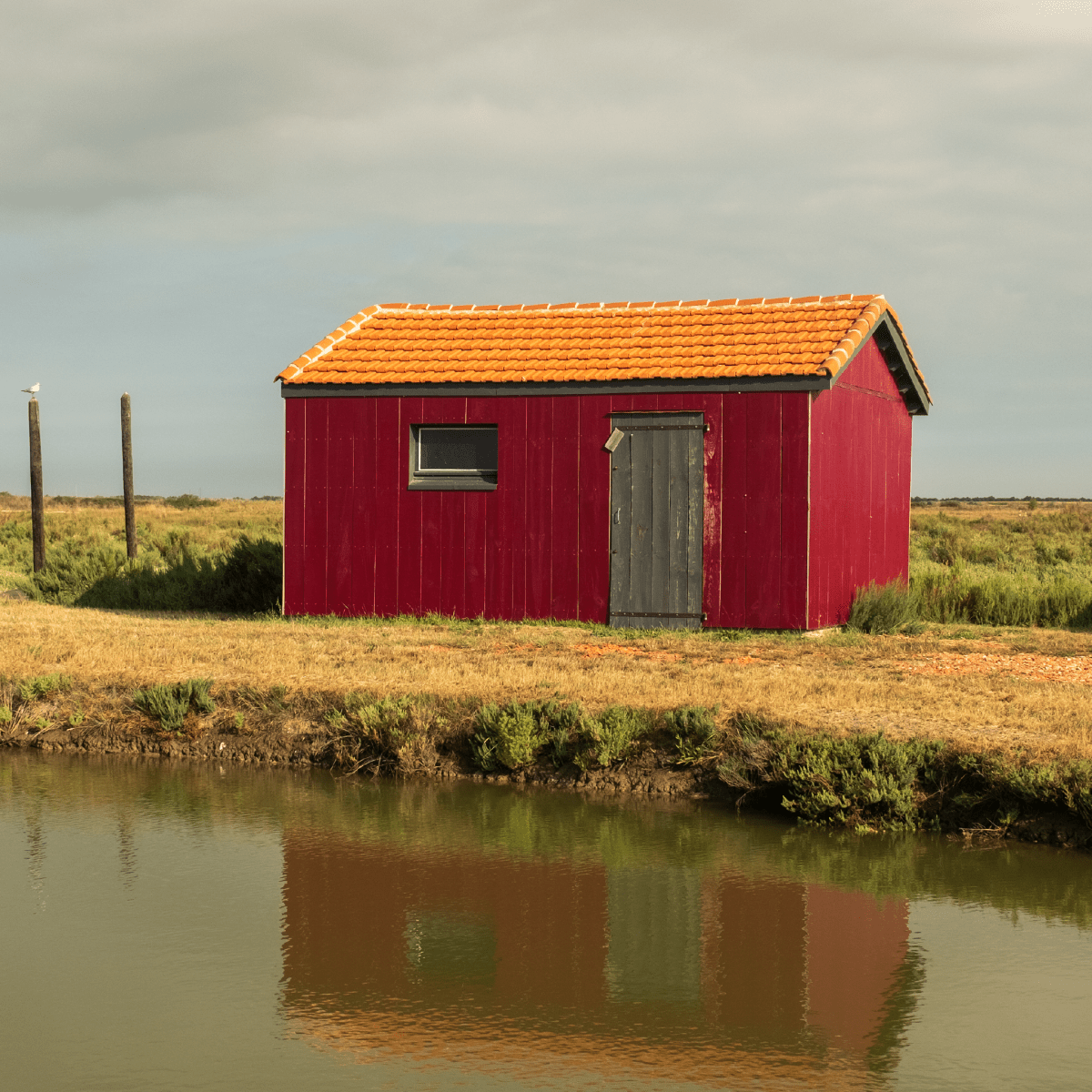 Red Hut - Derek Saville - Abhainn Studio